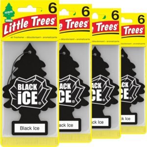 LITTLE TREES Air Fresheners Car Air Freshener. Hanging Tree Provides Long Lasting Scent for Auto or Home. Black Ice, 24 Air Fresheners